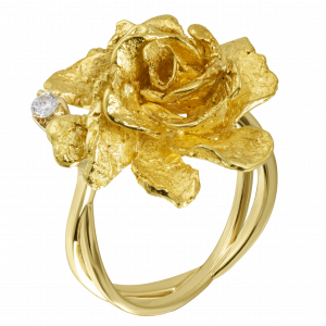 <span style="font-style: italic;">Кольца </span>